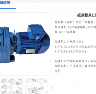 R137-Y22-4p-44.39-M1-0減速電機(jī)型號(hào)解析