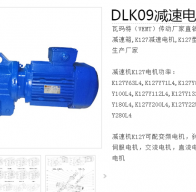 DLK09-DM160M-4-11KW減速電機型號解析