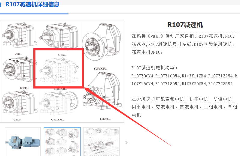 R107-24.7-M1-SD5減速機(jī), 齒輪減速電機(jī).png